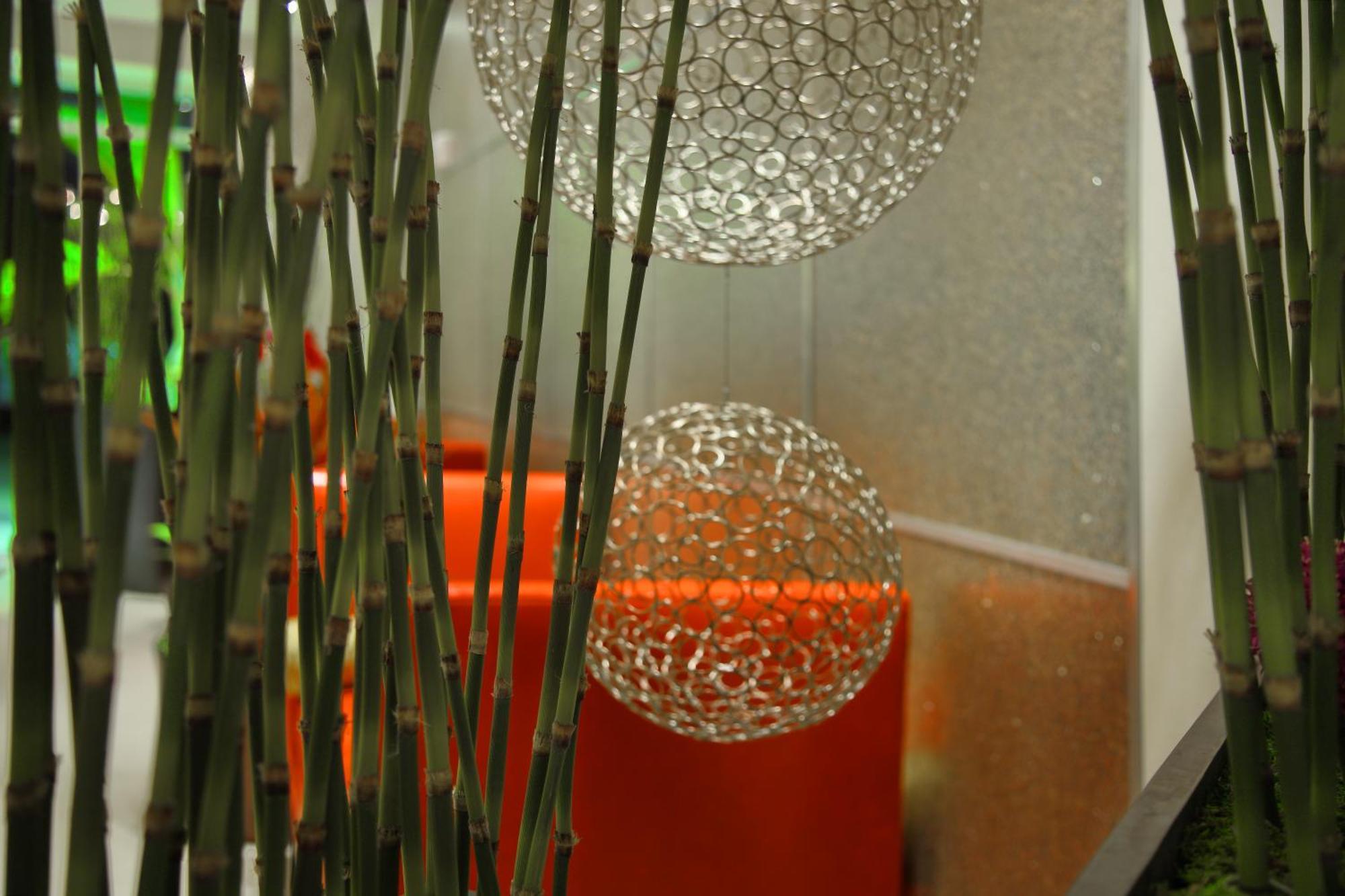 Hotel - Bradenton Airport, An Ihg South Bradenton